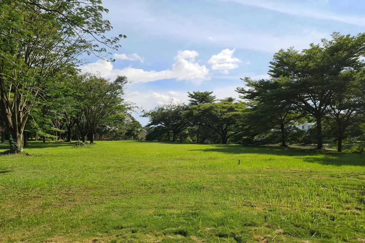 kavling hingga 600 m2 alam sutera